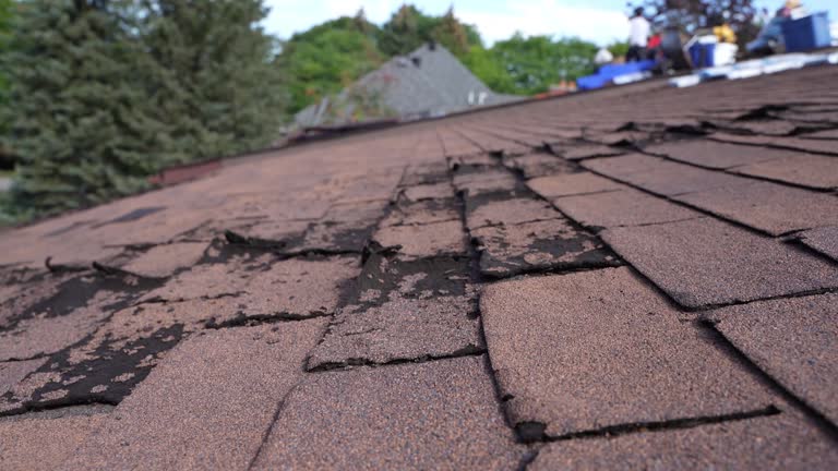 Best Hot Roofs  in New Vienna, OH