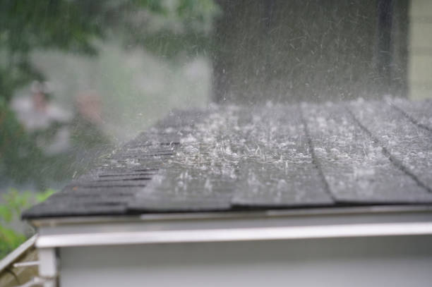 Best Roof Leak Repair  in New Vienna, OH