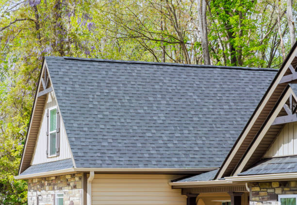 Best Skylight Installation and Repair  in New Vienna, OH